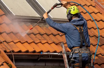 Démoussage et hydrofuge de toiture à Manas